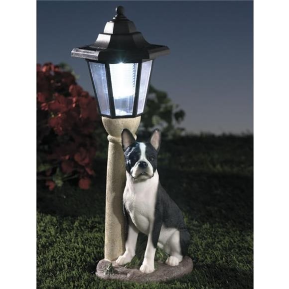 Solar Boston Terrier Lantern-Solar Powered Garden Lantern - Resin Dog Sculpture - Picture 2 of 5